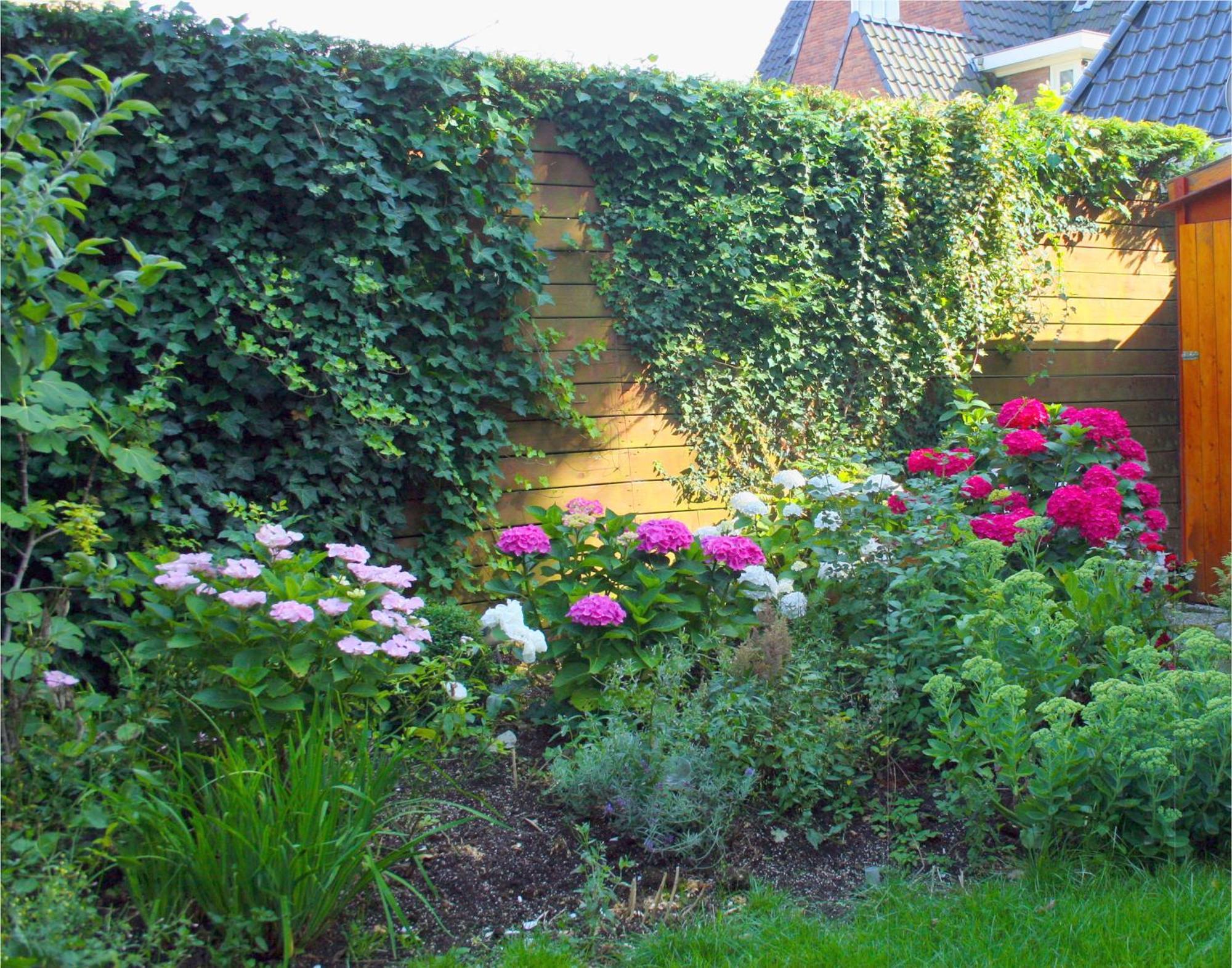 Xaviera'S Bed And Breakfast Amsterdam Esterno foto