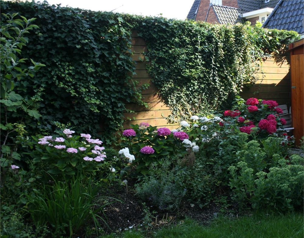 Xaviera'S Bed And Breakfast Amsterdam Esterno foto
