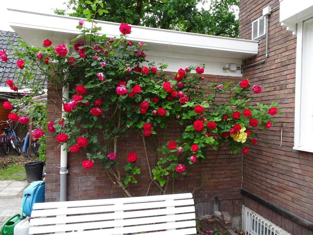 Xaviera'S Bed And Breakfast Amsterdam Esterno foto
